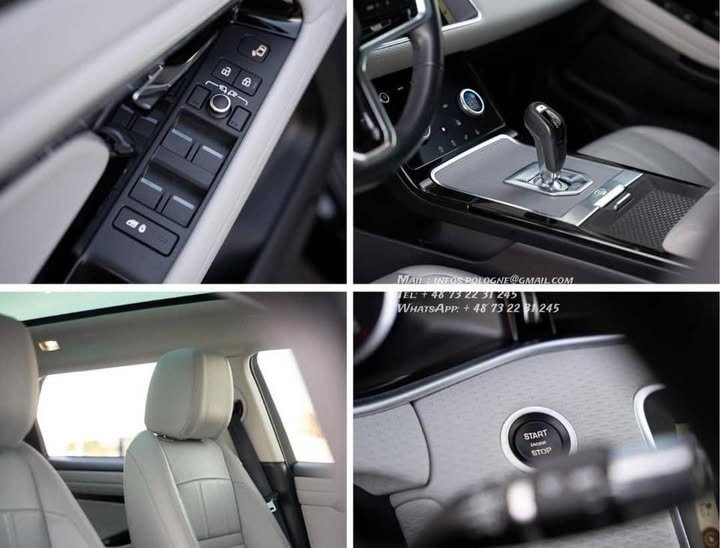 FB_IMG_1770446309029