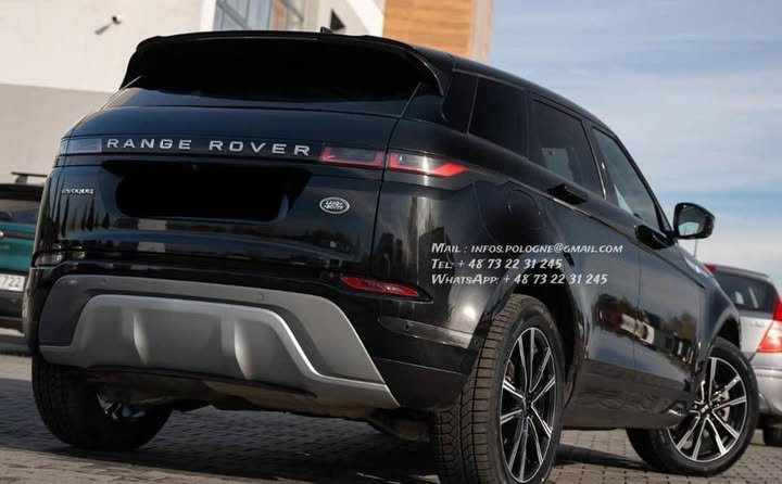 FB_IMG_1770446330318