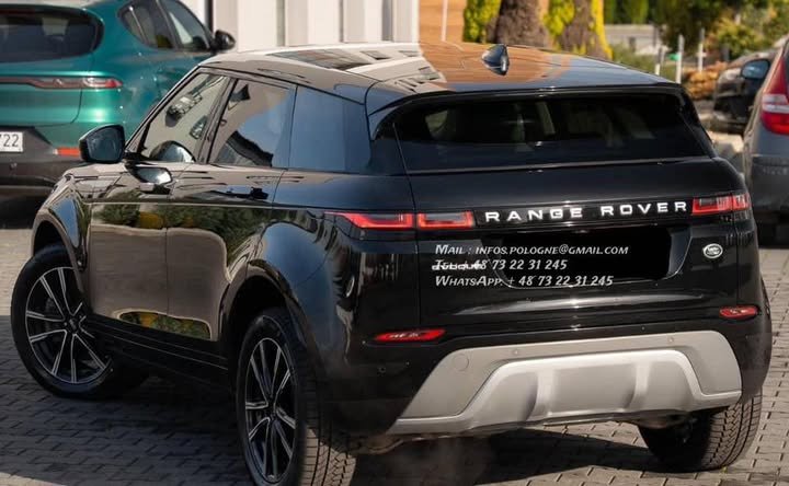 FB_IMG_1770446344888