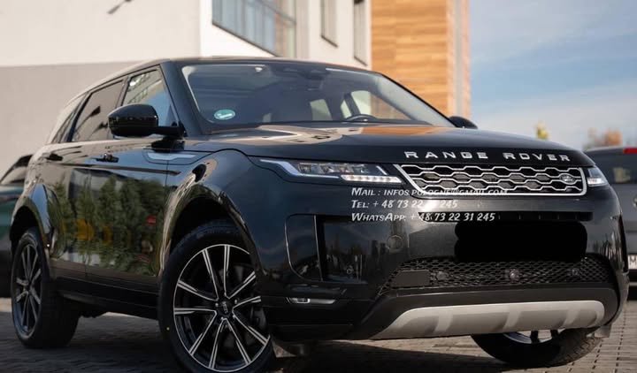 FB_IMG_1770446364783