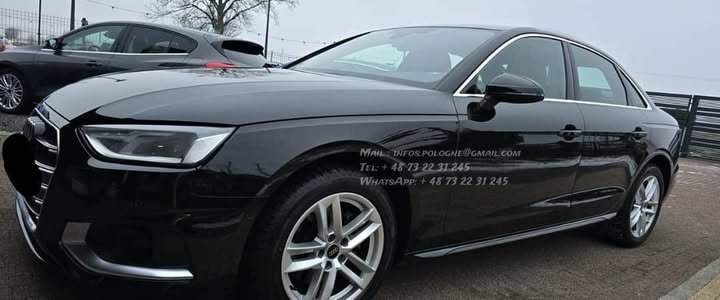 FB_IMG_1770775474770