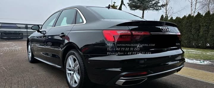 FB_IMG_1770775502907