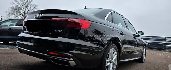 FB_IMG_1770775532850