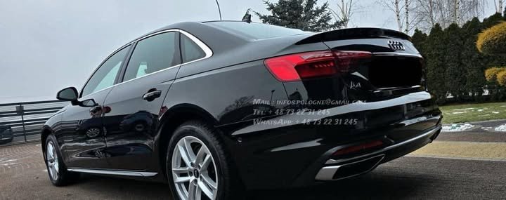 FB_IMG_1770775550823