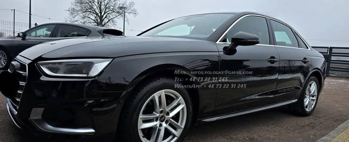 FB_IMG_1770775566735