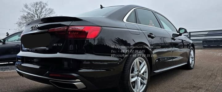 FB_IMG_1770775573284