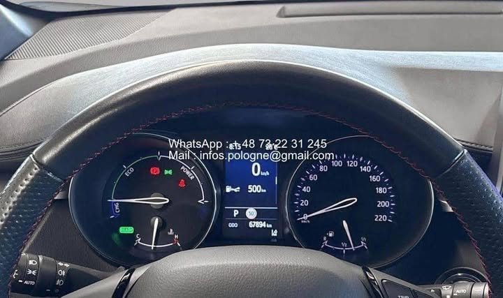 FB_IMG_1770775878721