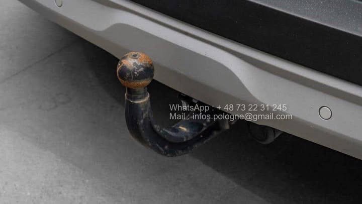 FB_IMG_1771204234252