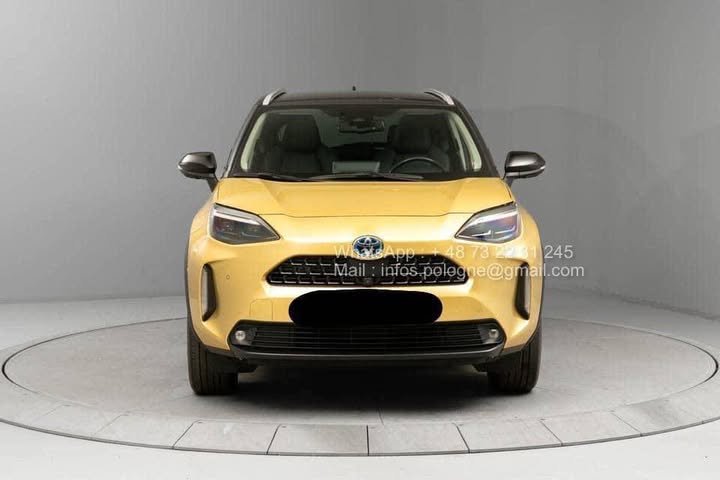 FB_IMG_1771208075465