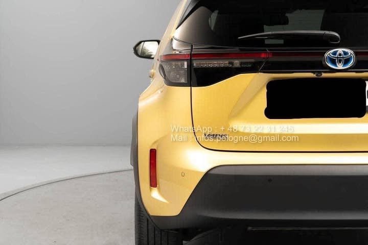 FB_IMG_1771208098284