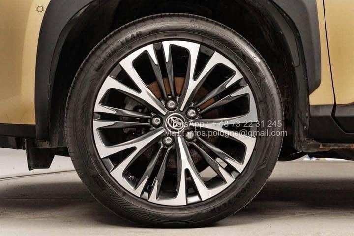 FB_IMG_1771208128519