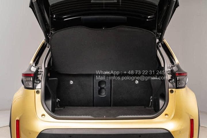 FB_IMG_1771208165448