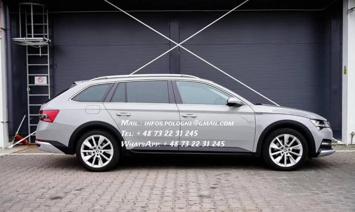 FB_IMG_1771208360583