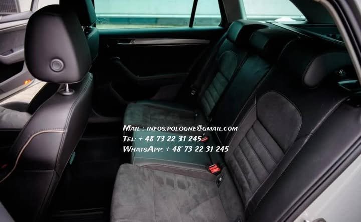 FB_IMG_1771208503070