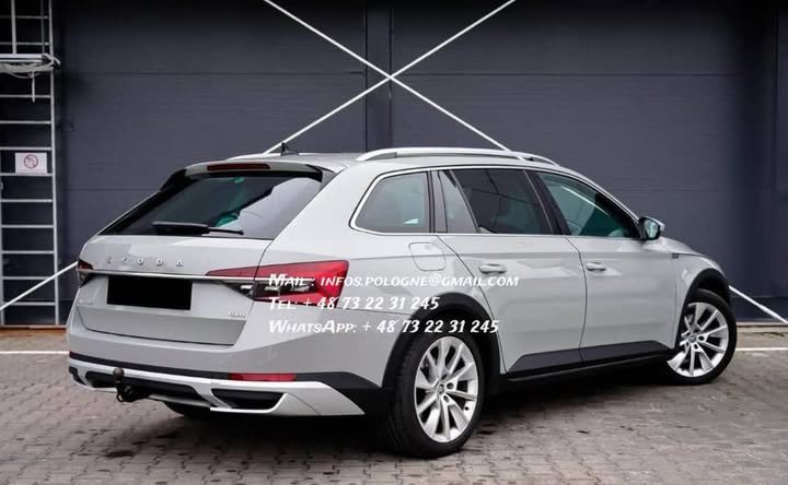 FB_IMG_1771208509090