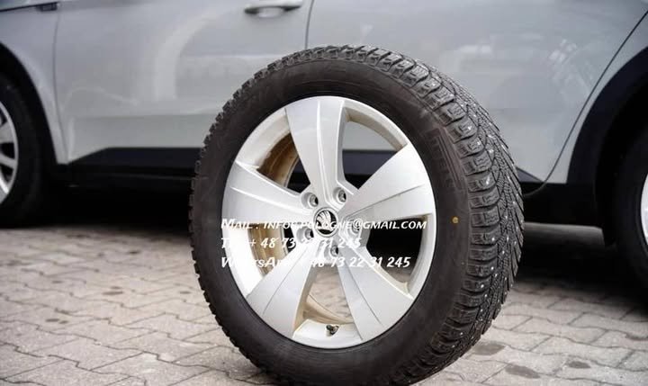 FB_IMG_1771208518084