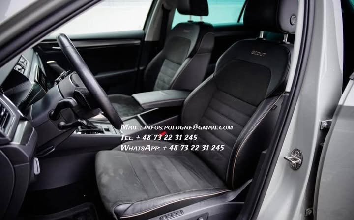 FB_IMG_1771208528306