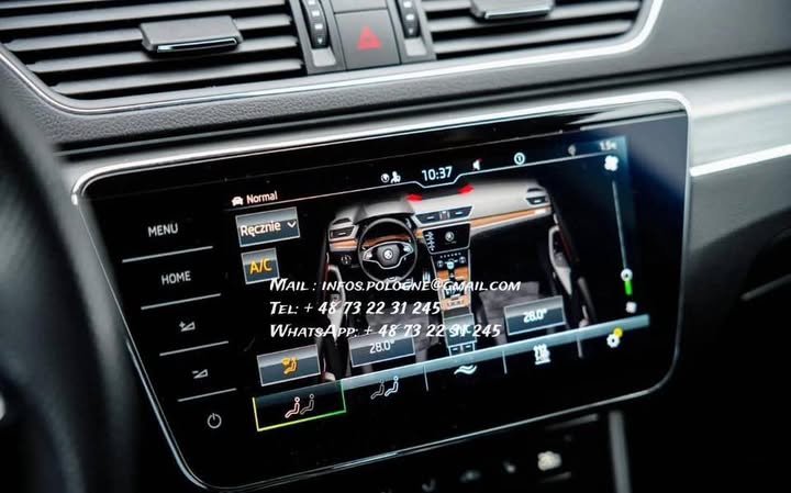 FB_IMG_1771208545748