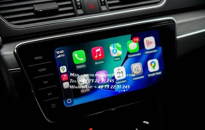 FB_IMG_1771208583135