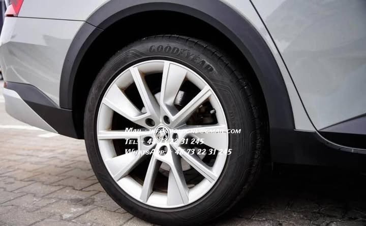 FB_IMG_1771208589657