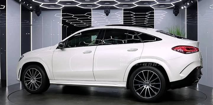 FB_IMG_1771333247770