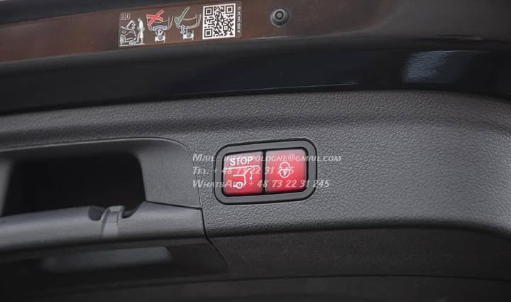 FB_IMG_1771334689157