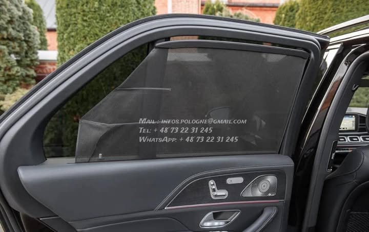 FB_IMG_1771334711745