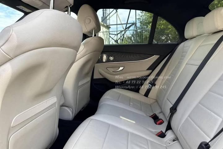 FB_IMG_1771335495094