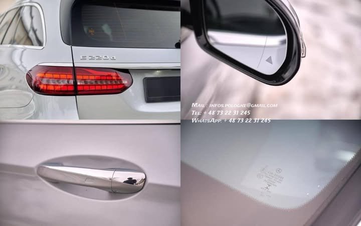 FB_IMG_1771336537628