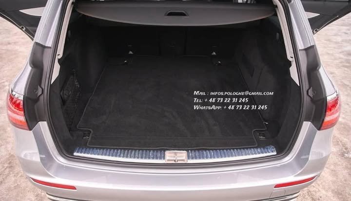 FB_IMG_1771336582638