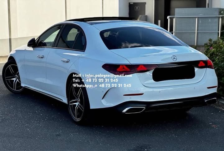 FB_IMG_1771336753718