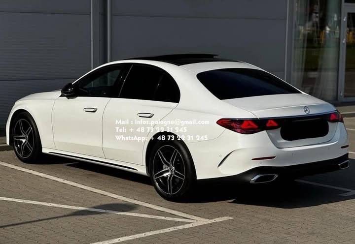 FB_IMG_1771336757029