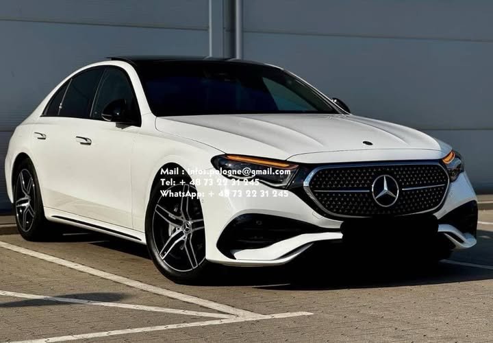 FB_IMG_1771336759034