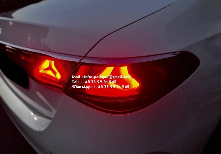 FB_IMG_1771336765592