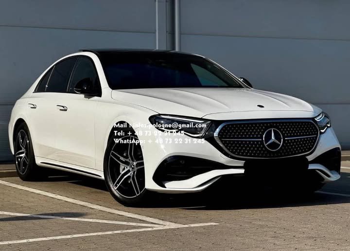 FB_IMG_1771336769441