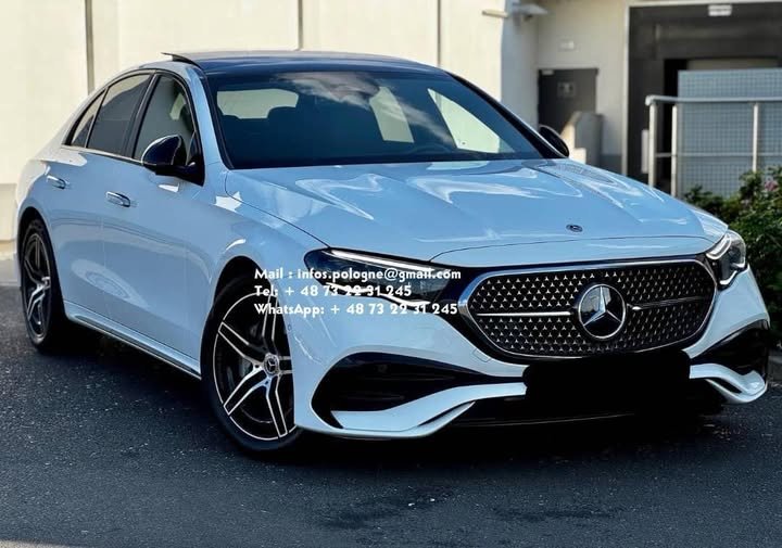 FB_IMG_1771336771376