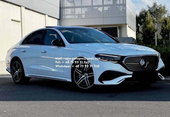 FB_IMG_1771336776006