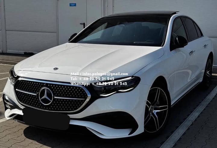 FB_IMG_1771336779101