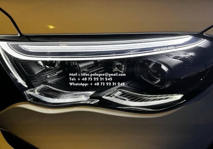 FB_IMG_1771336787650