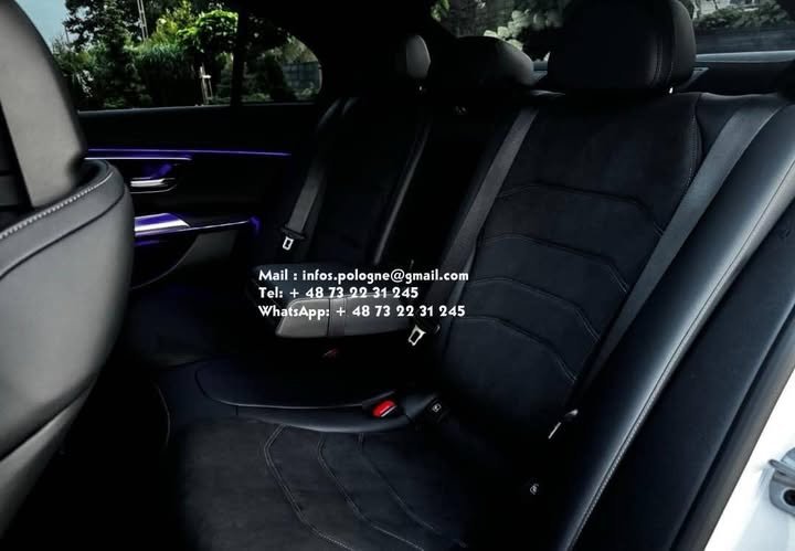 FB_IMG_1771336847751