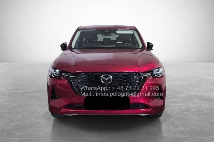 FB_IMG_1771340568061