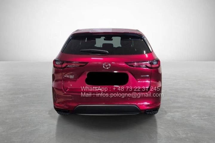 FB_IMG_1771340581899