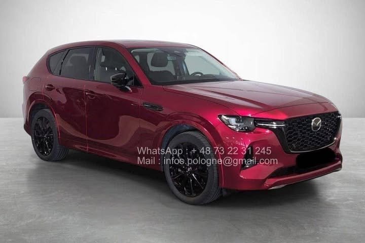 FB_IMG_1771340588568