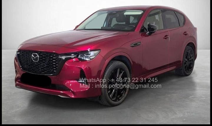 FB_IMG_1771340591884