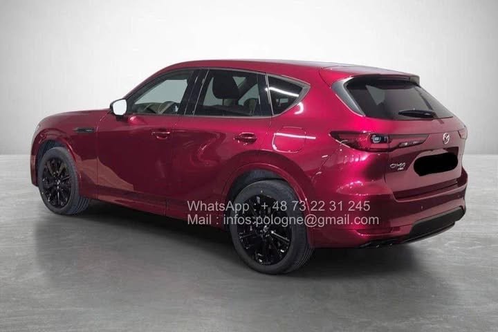 FB_IMG_1771340599956