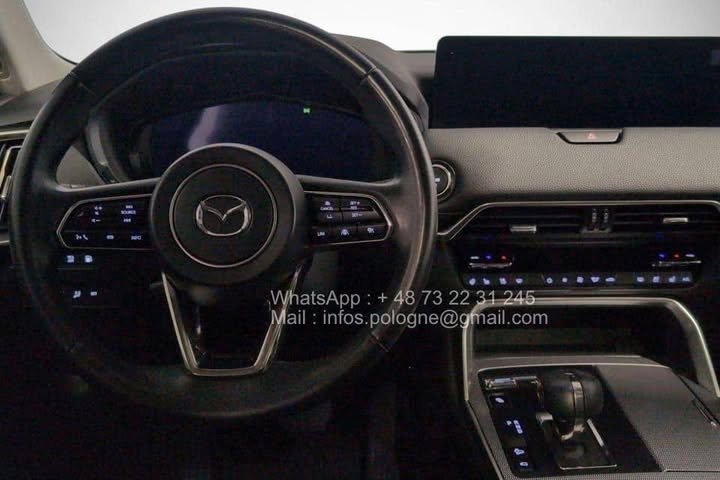 FB_IMG_1771340620239