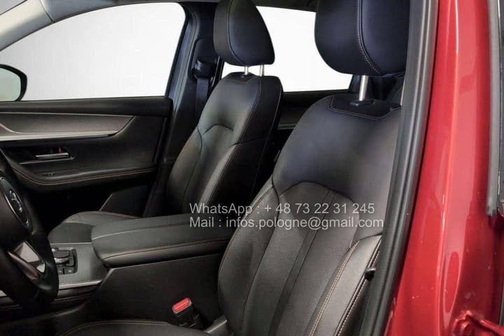 FB_IMG_1771340623133