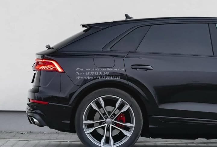 FB_IMG_1771371914745