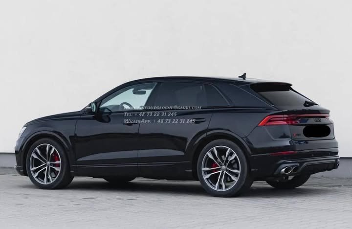 FB_IMG_1771371916785