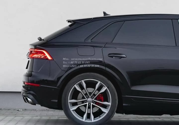 FB_IMG_1771371925146